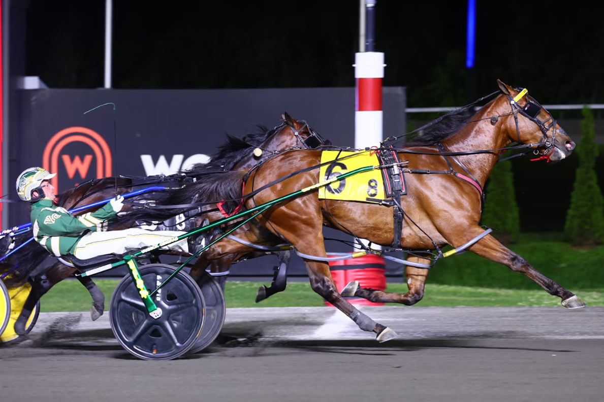Brue Hanover strikes gold in $100,000 Mohawk Gold Cup