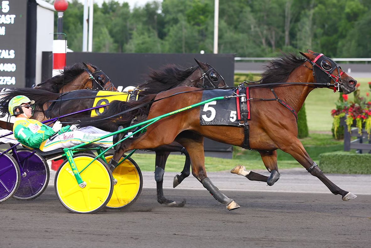NA Cup night stakes races taking shape