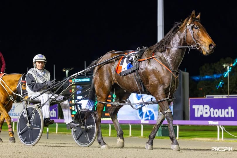 Chris Lewis shines in the race named in his honour