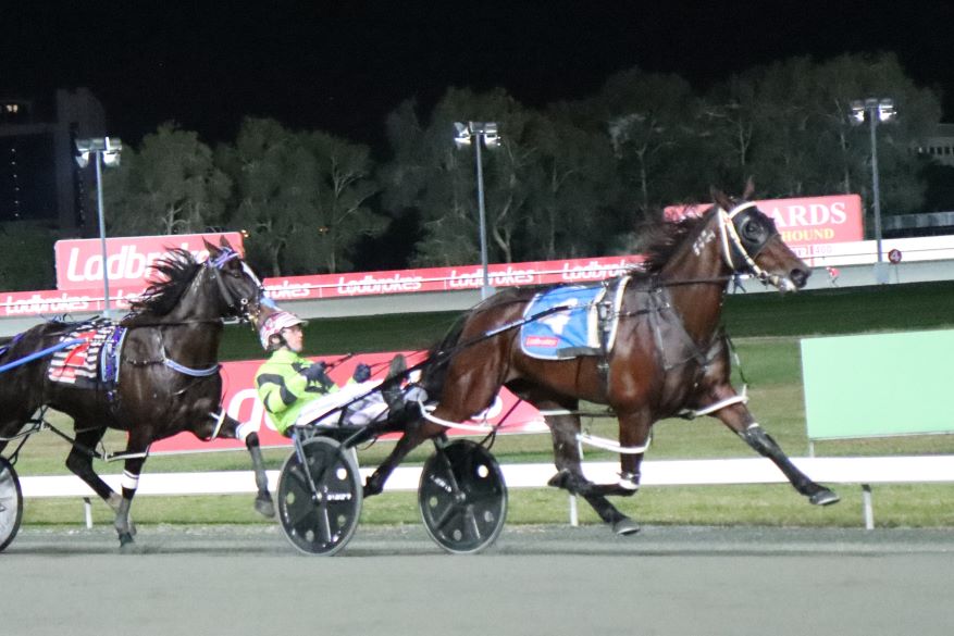 Chynchilla holds on to win Clash of the mares