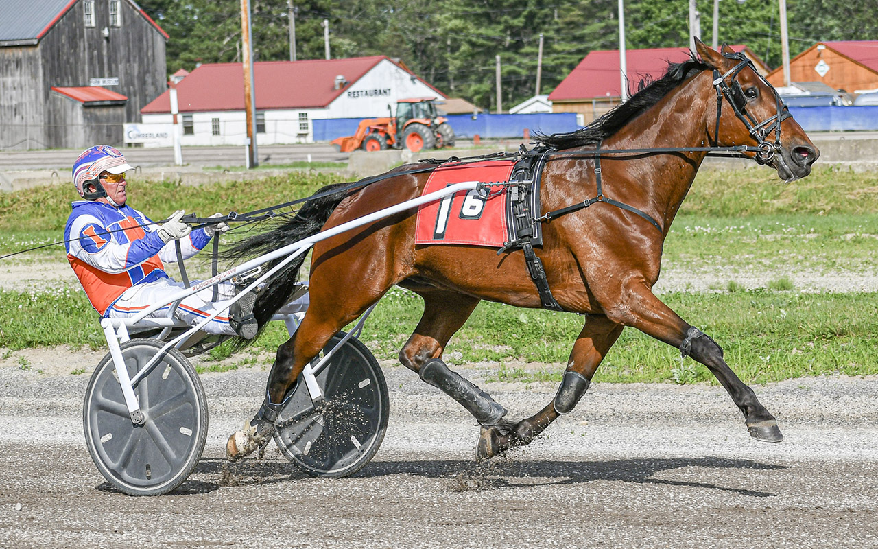 “‘Double Digit’ Dave delivers upset with Dynamical Tad