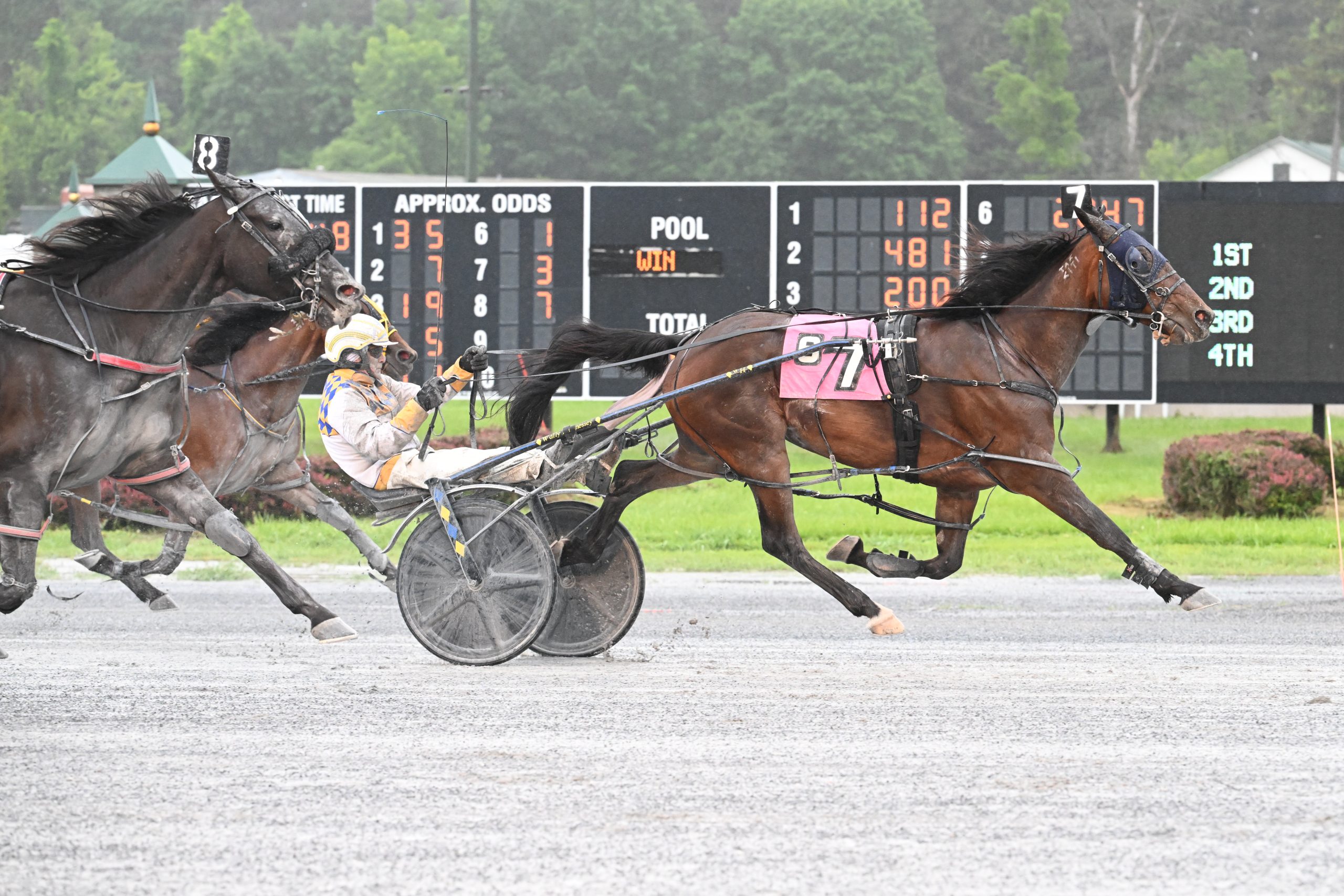 Waitforever N goes back to back