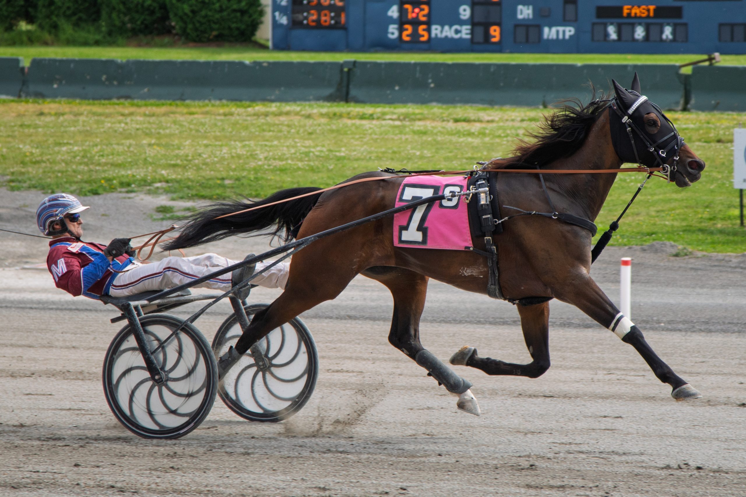 Dealin With Dewey romps to comfortable win