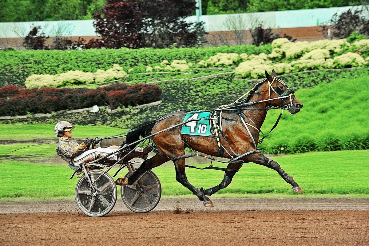 Dublin Dasher wins in the slop
