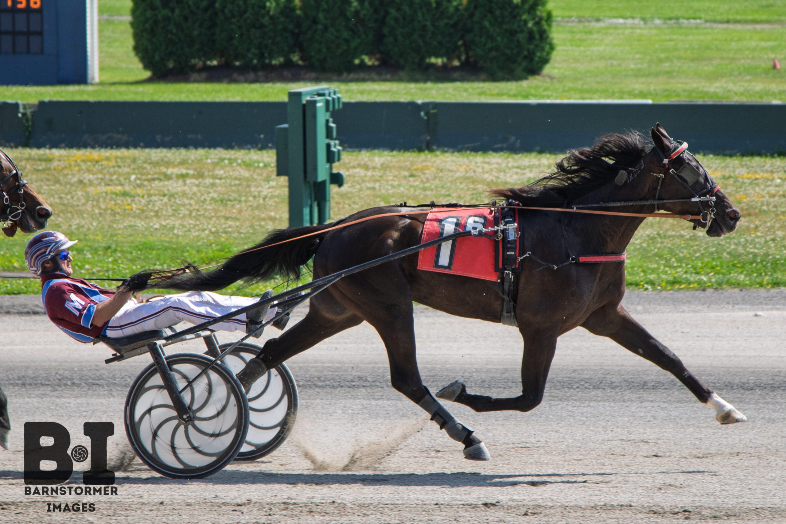 Fadeaway Hanover rallies late to win $119,700 NYSS Trot