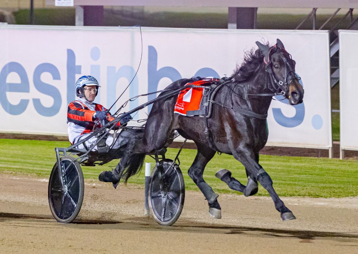 NSW Trotters Derby-Oaks double