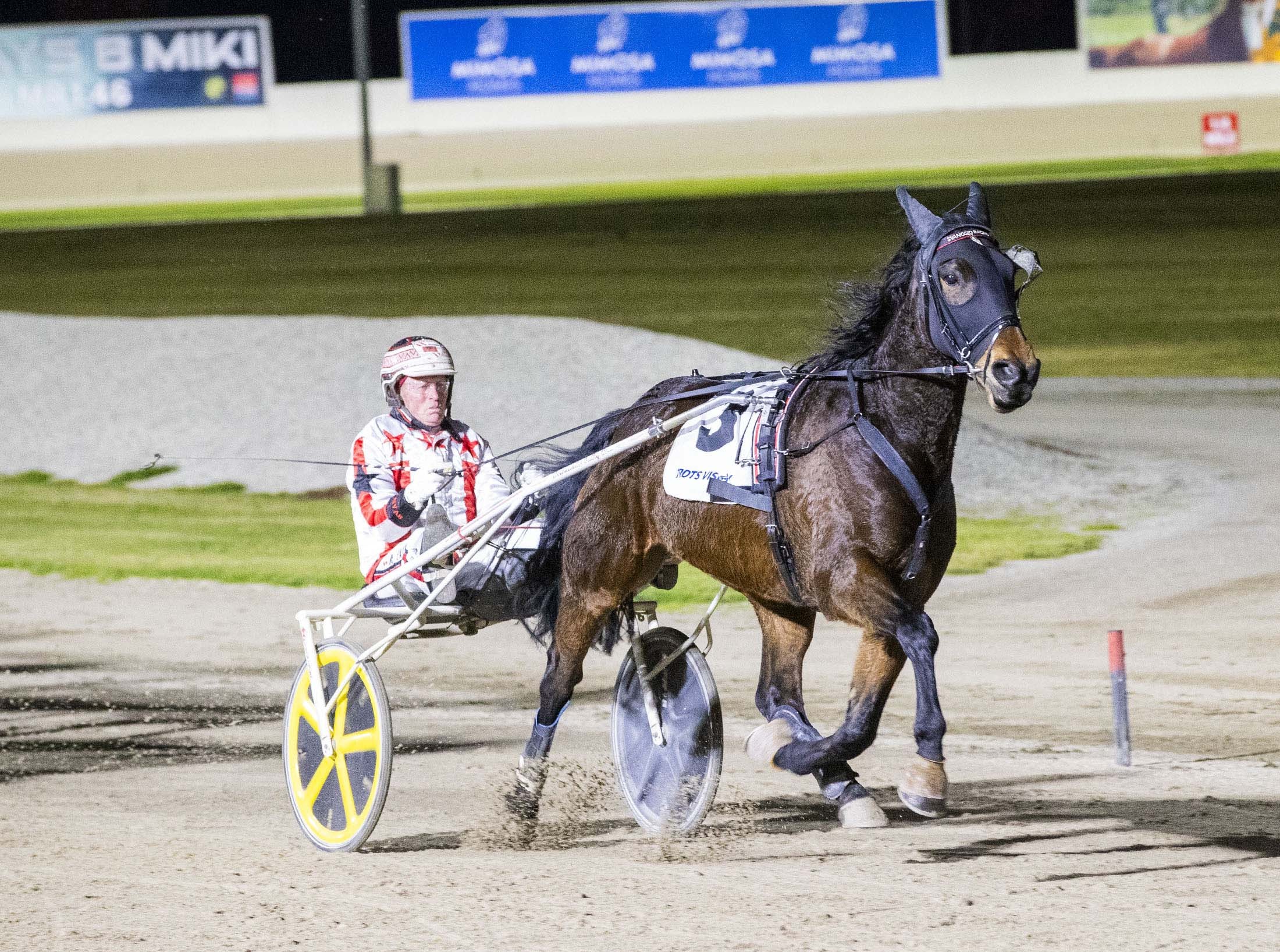 Gotfeelingsyouknow proves he’s a top trotter