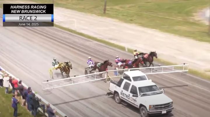 Child dies following accident at harness racing track