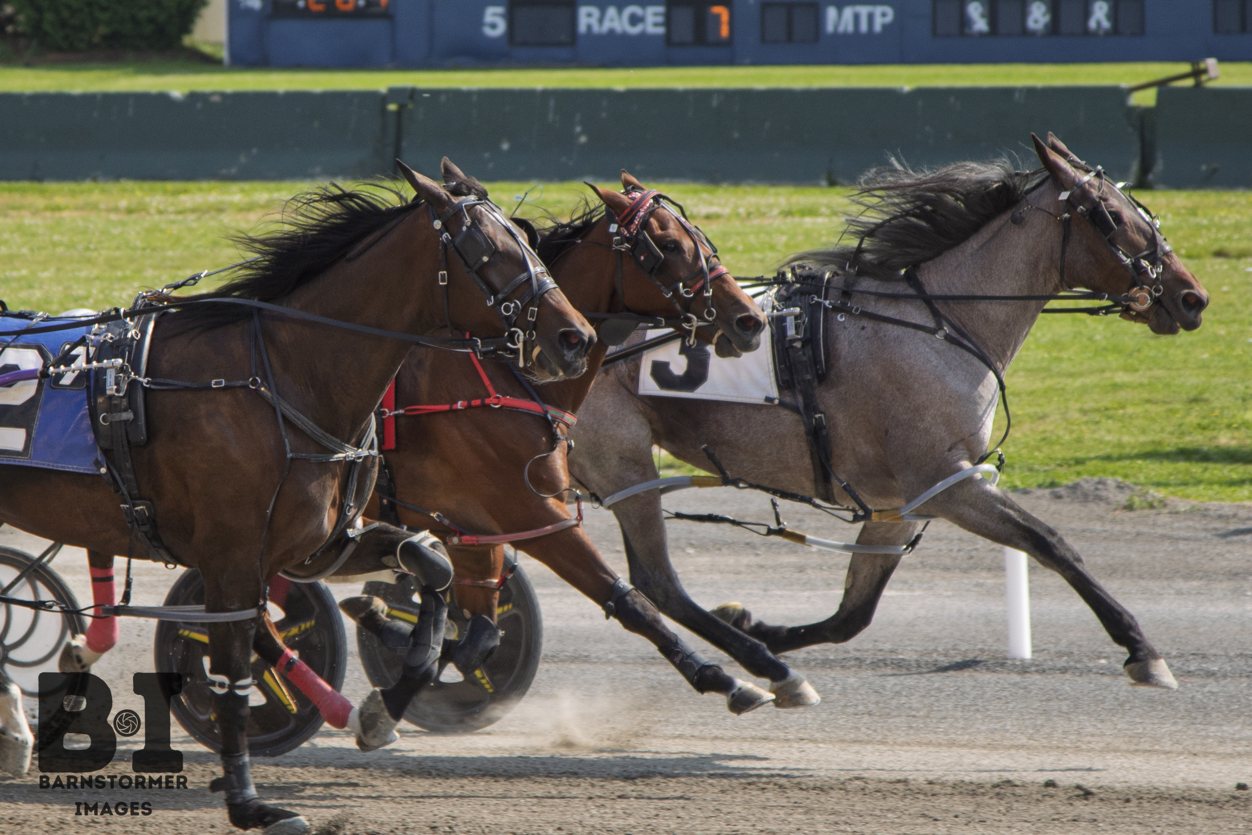 Send It Down Slim victorious in $113,400 NYSS