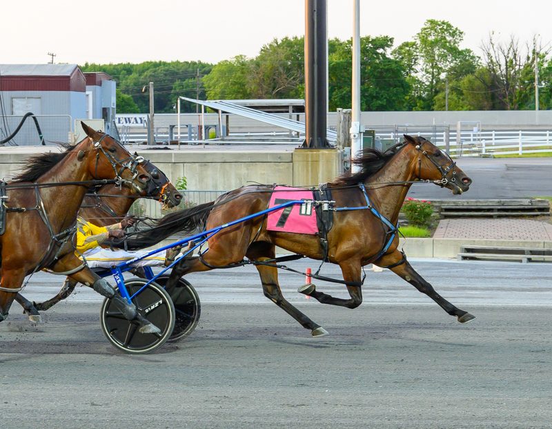 Incaseyoudidntknow overcomes tough trip to win