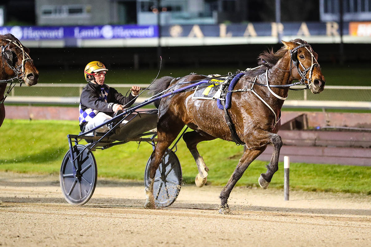 Williamson doubles down