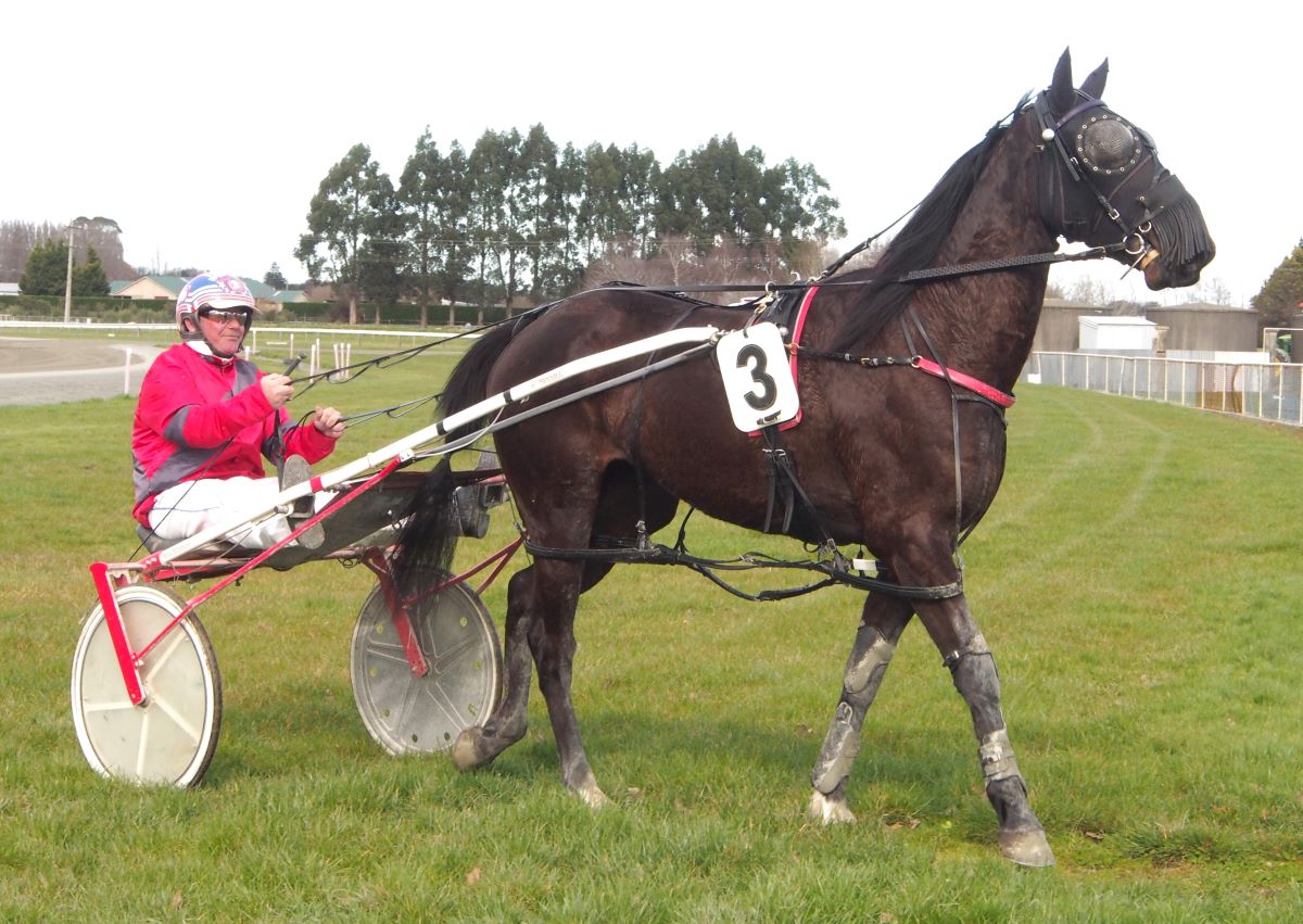 Gray carts eleven to Winton
