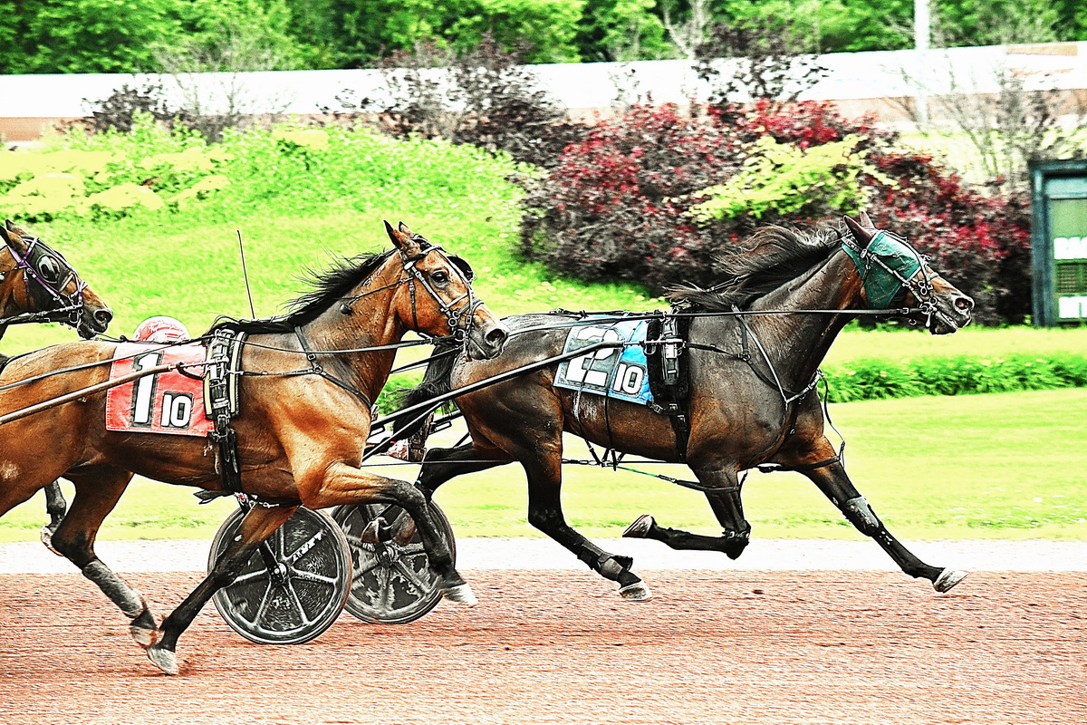 Jas Bluestone remains sharp