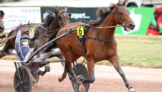Jingle du Pont takes Grand National du Trot Leg 6