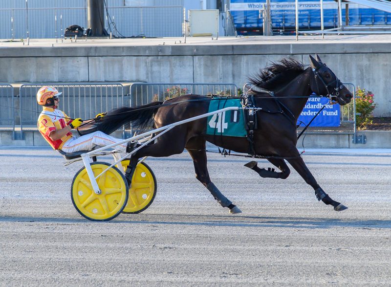 DSBF Trotters complete 2nd leg
