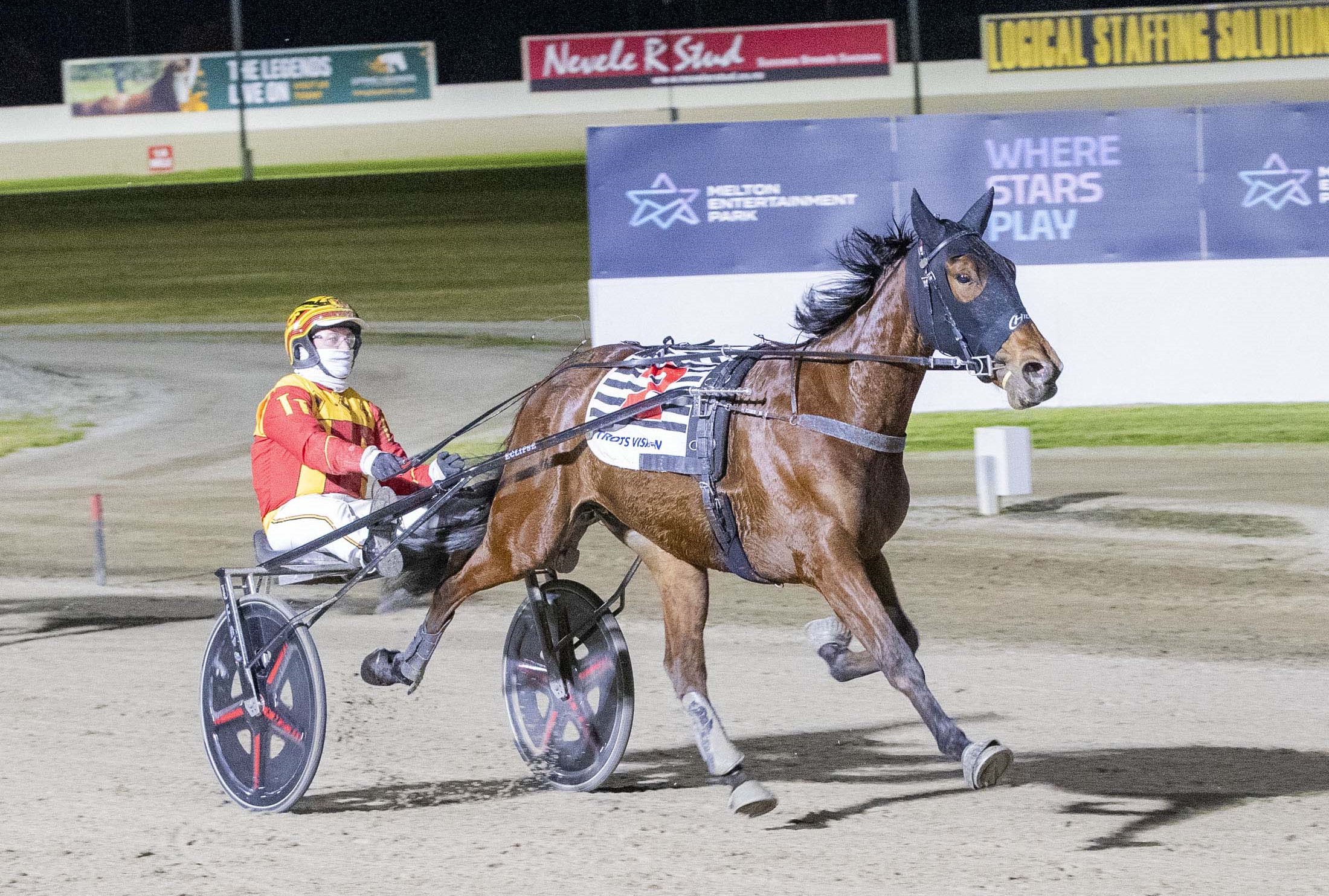 Boom two-year-old emerges with two wins in a week