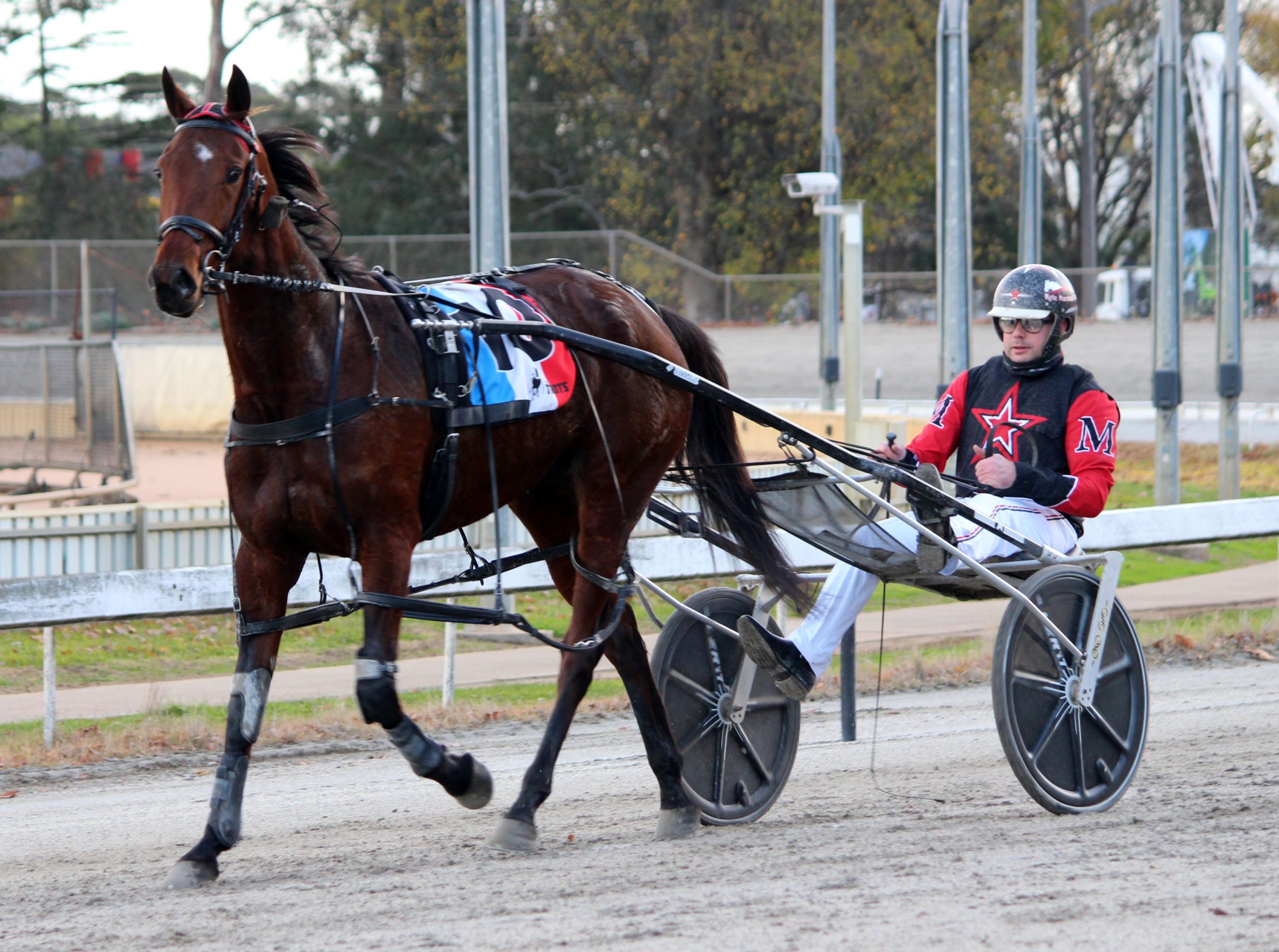 Kyle Marshall claims Warragul Pacing Cup