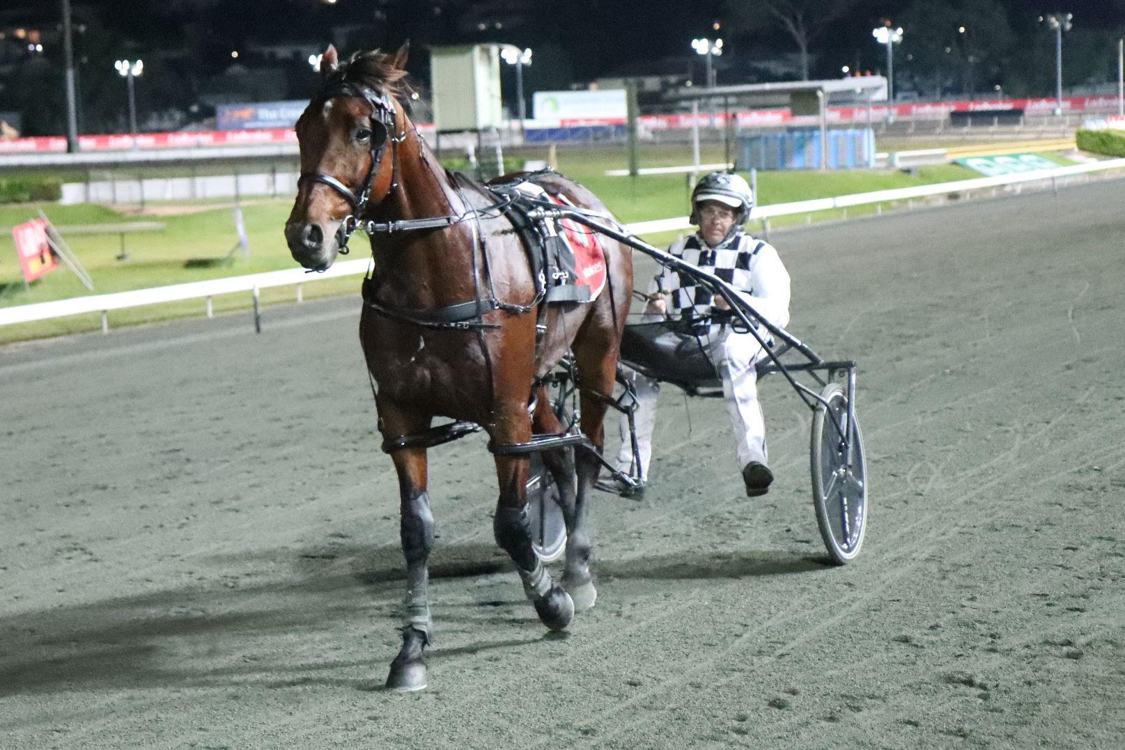 Inter Dominion Preview Second round of Heats