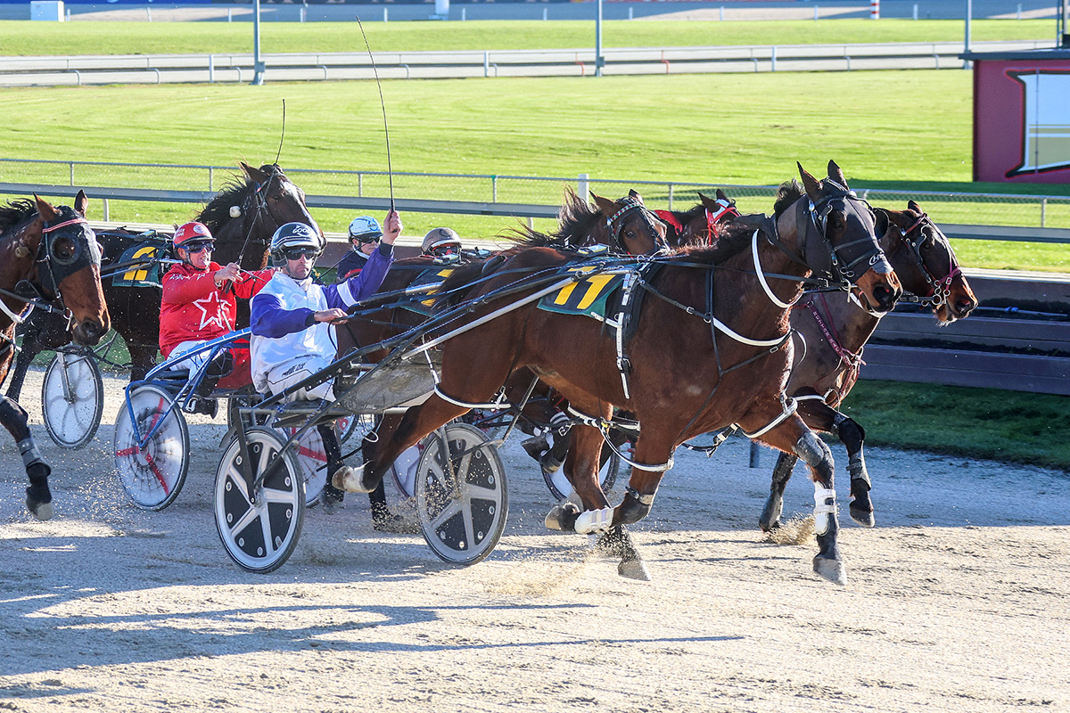 Stuart honours Brown at Addington