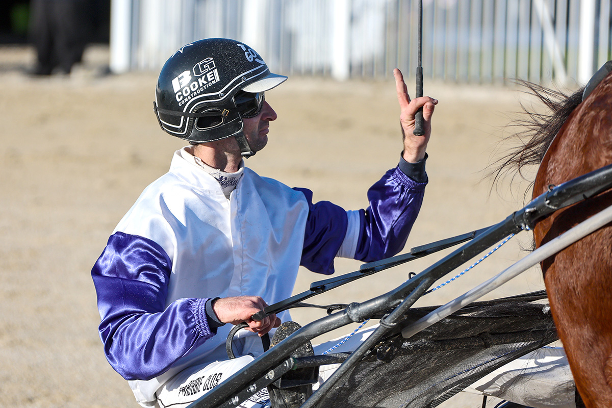 Three live chances for Stevenson at Timaru