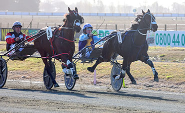 Fun facts about the Sapling Stakes