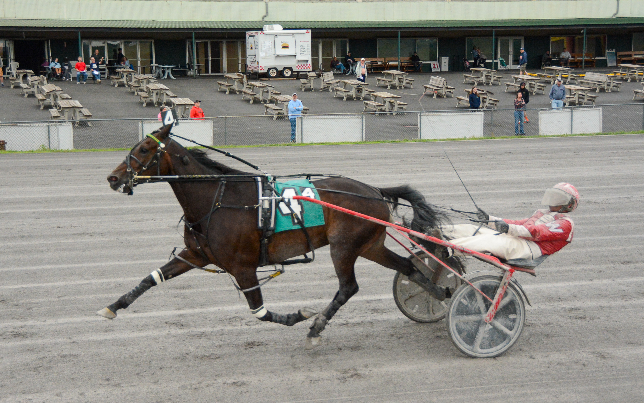 Match My Miracle and Samsun Of A Beach get feature wins