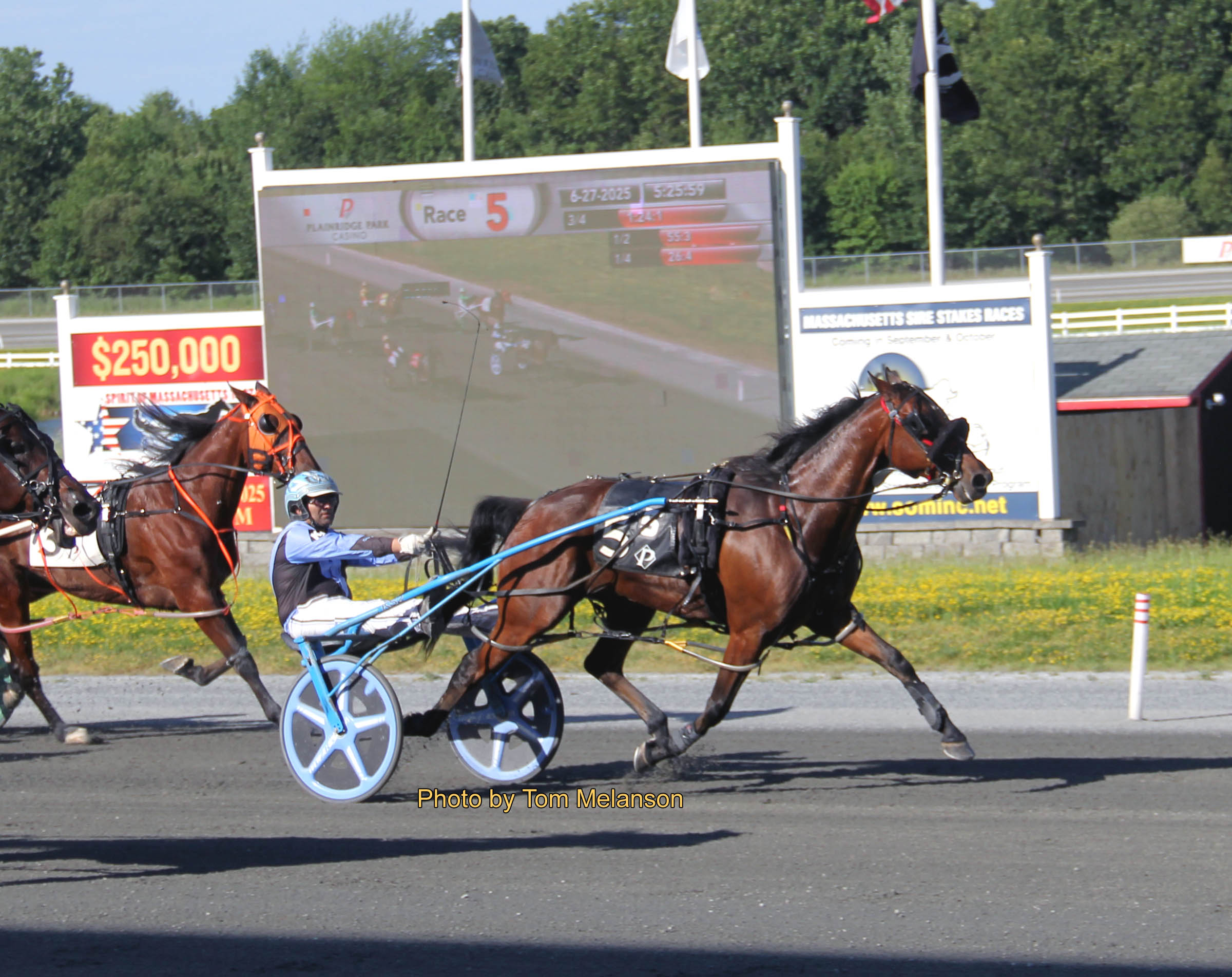 Meadowbrook Flash gets it done in feature