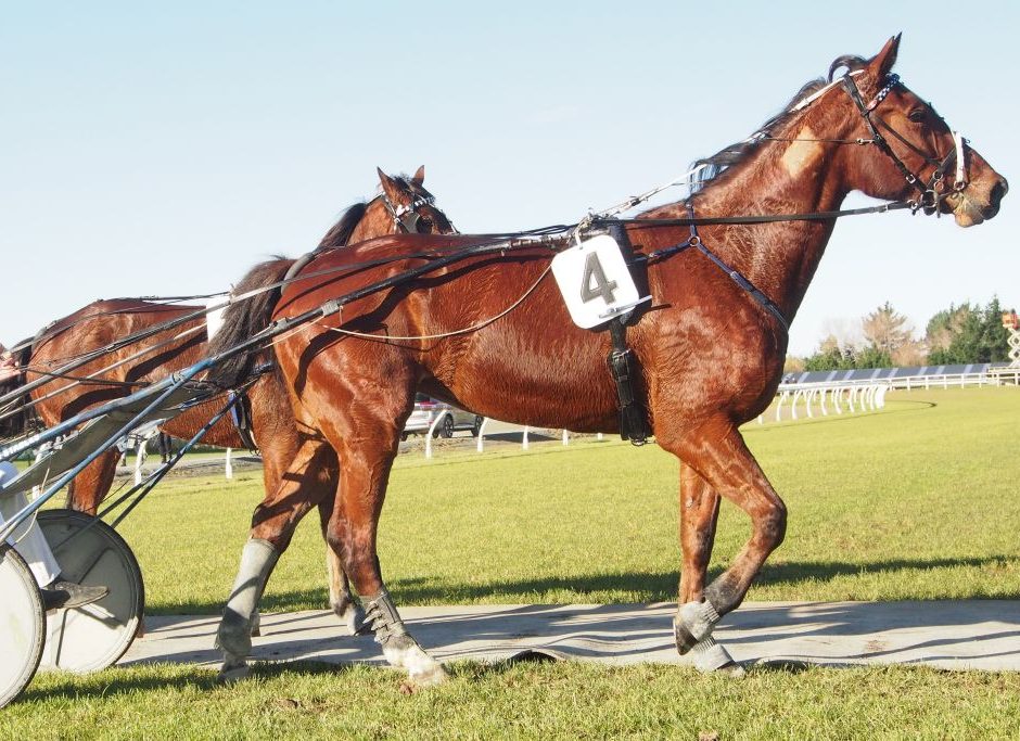 Muscle Mist wins for mother and son