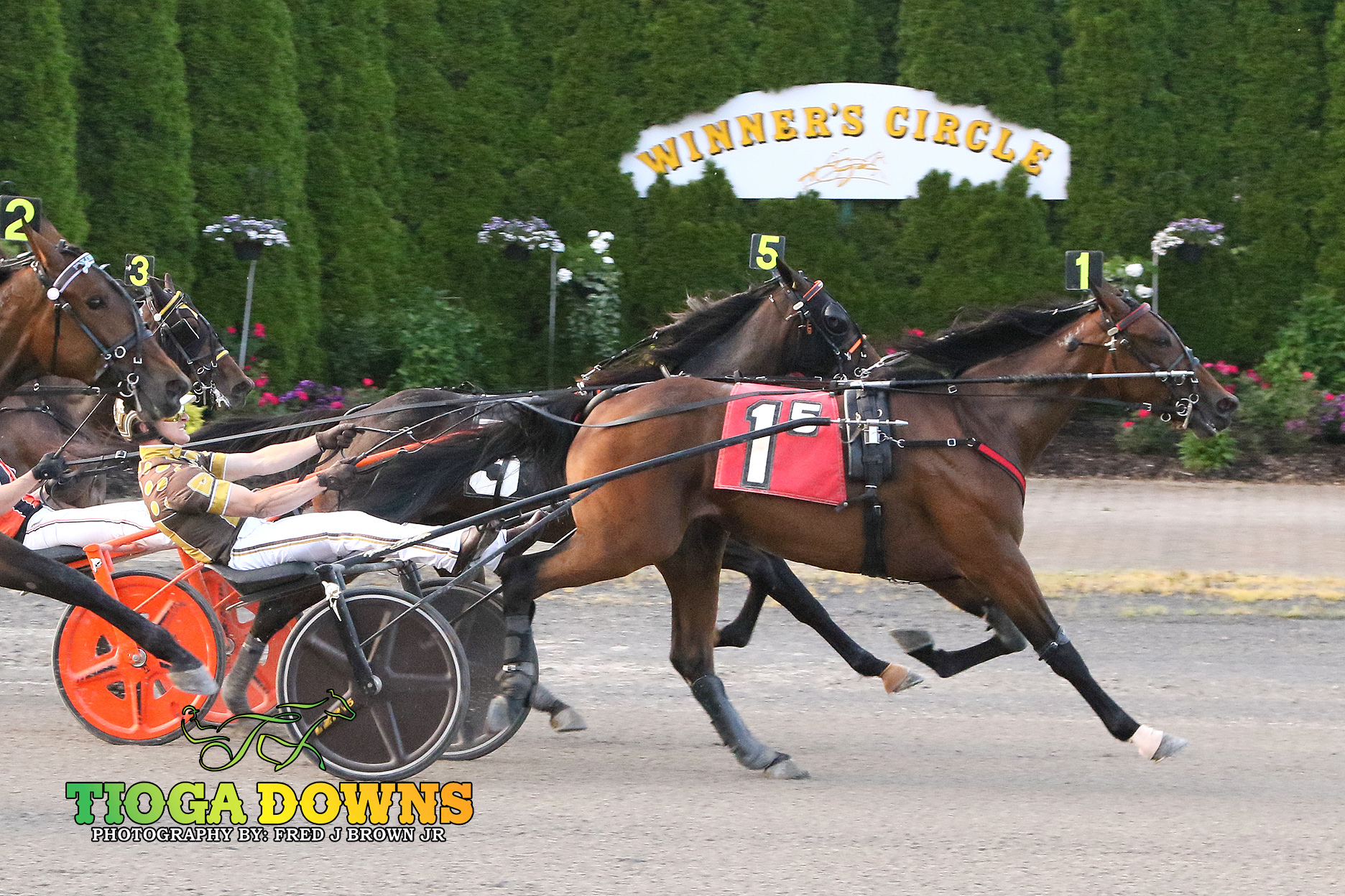 Two $58,000 divisions of NYSS run and won