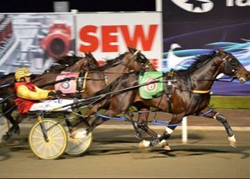 My General Lee set to stand at stud in South Australia