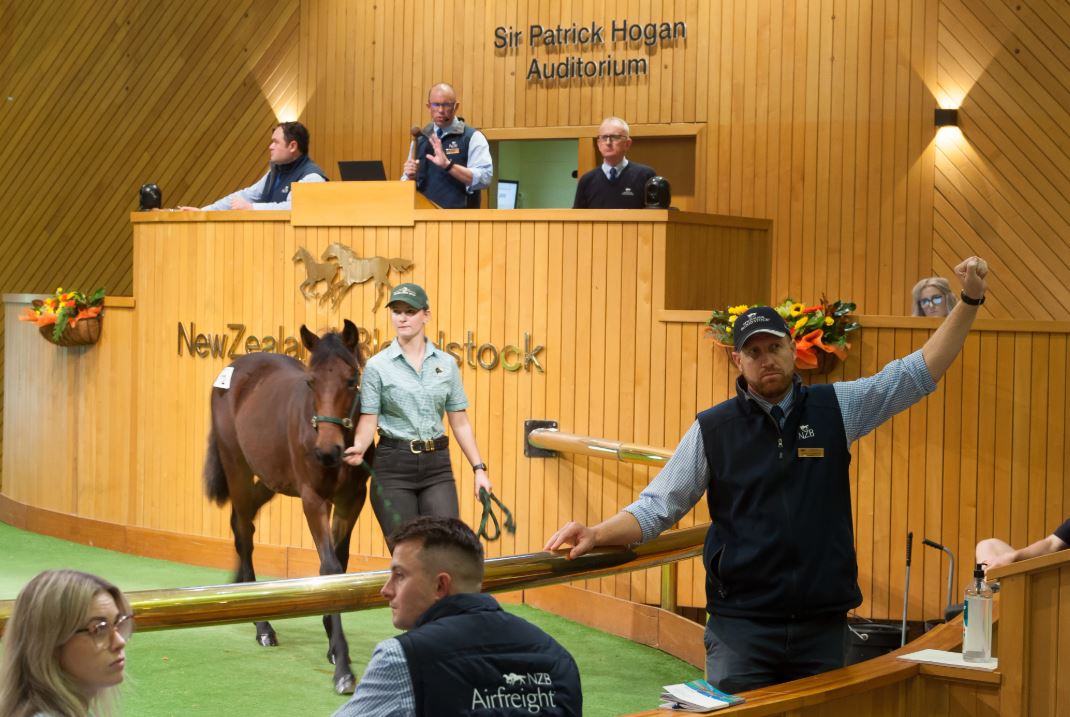 Buzz building ahead of 2025 Weanling Sale