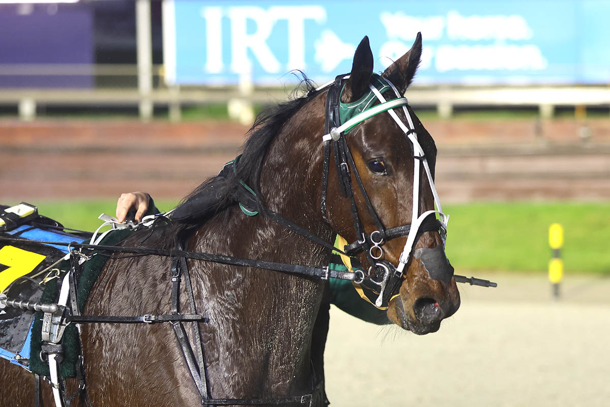 One Eye – no problem