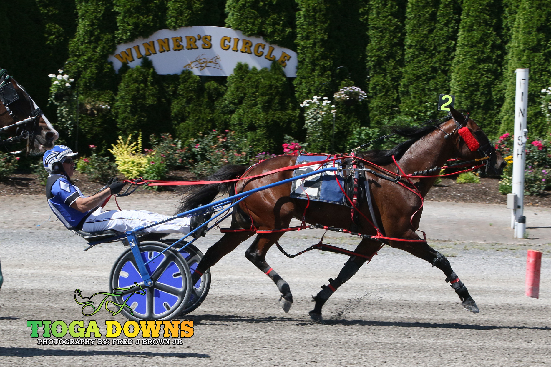 Pantaleano gets a five bagger