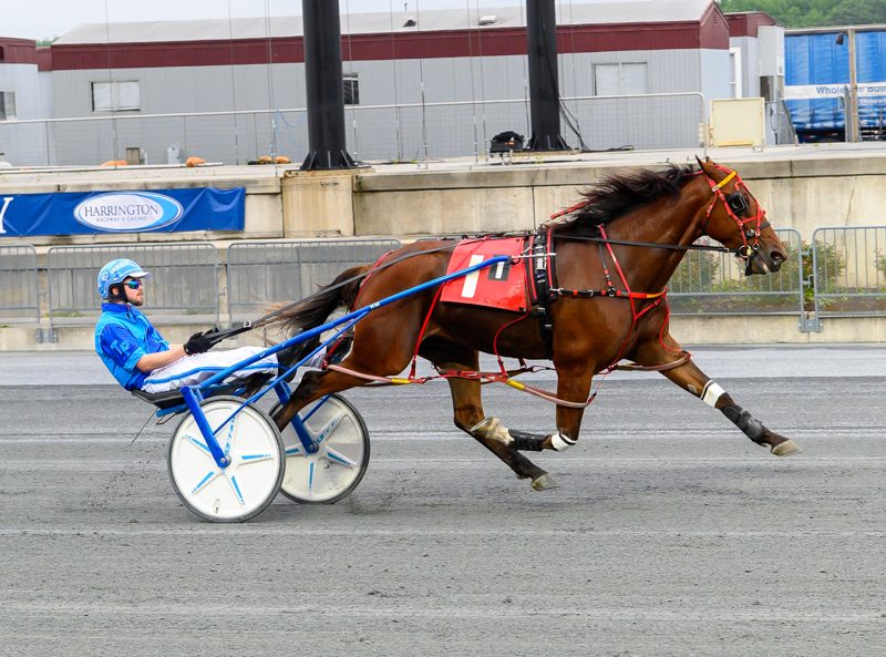 Primo Maschio, Lew Not Lou win DSBF splits