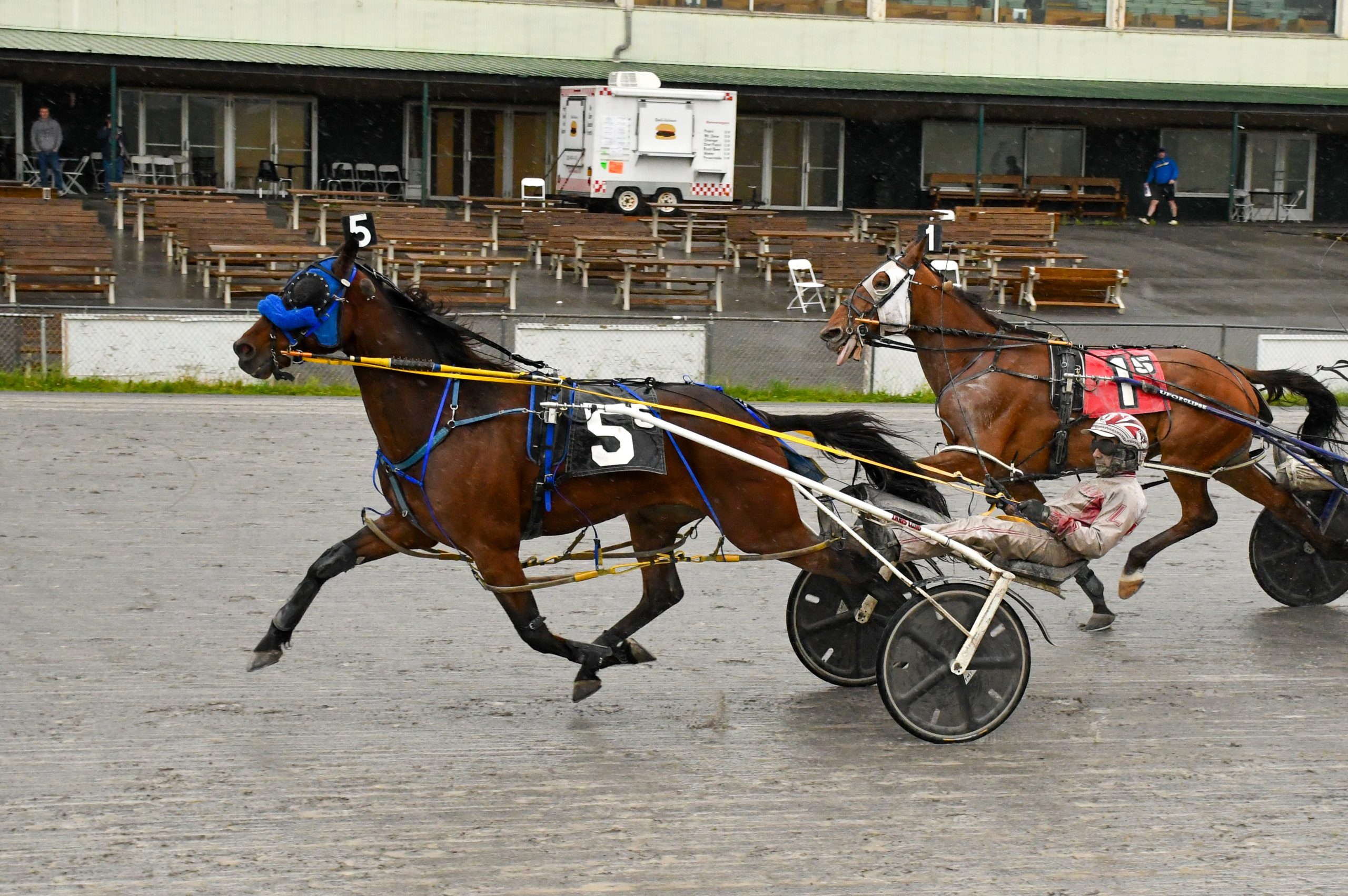 Huntsville gelding captures a worthy win