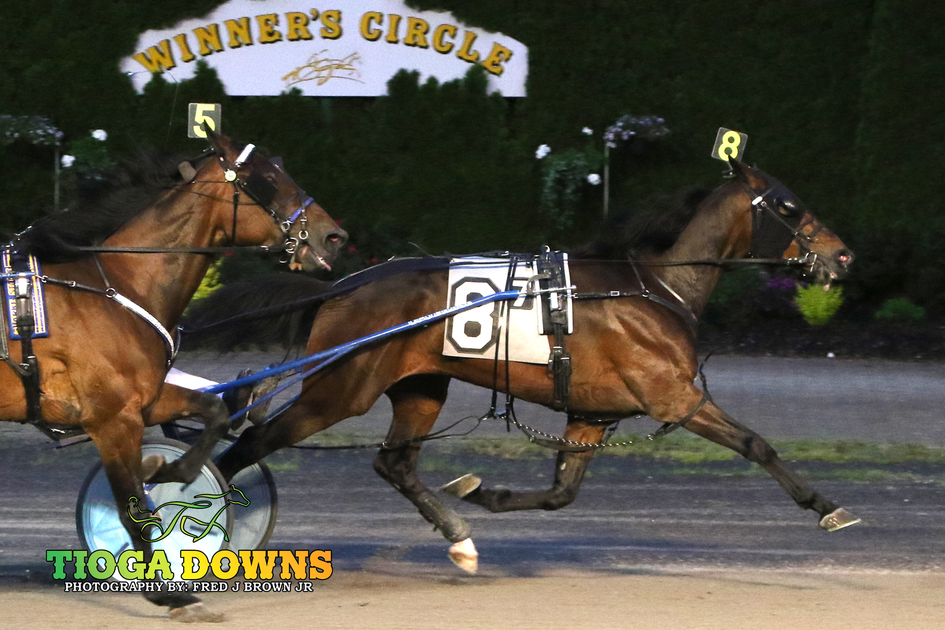 Purple Lord finds another gear to win nicely