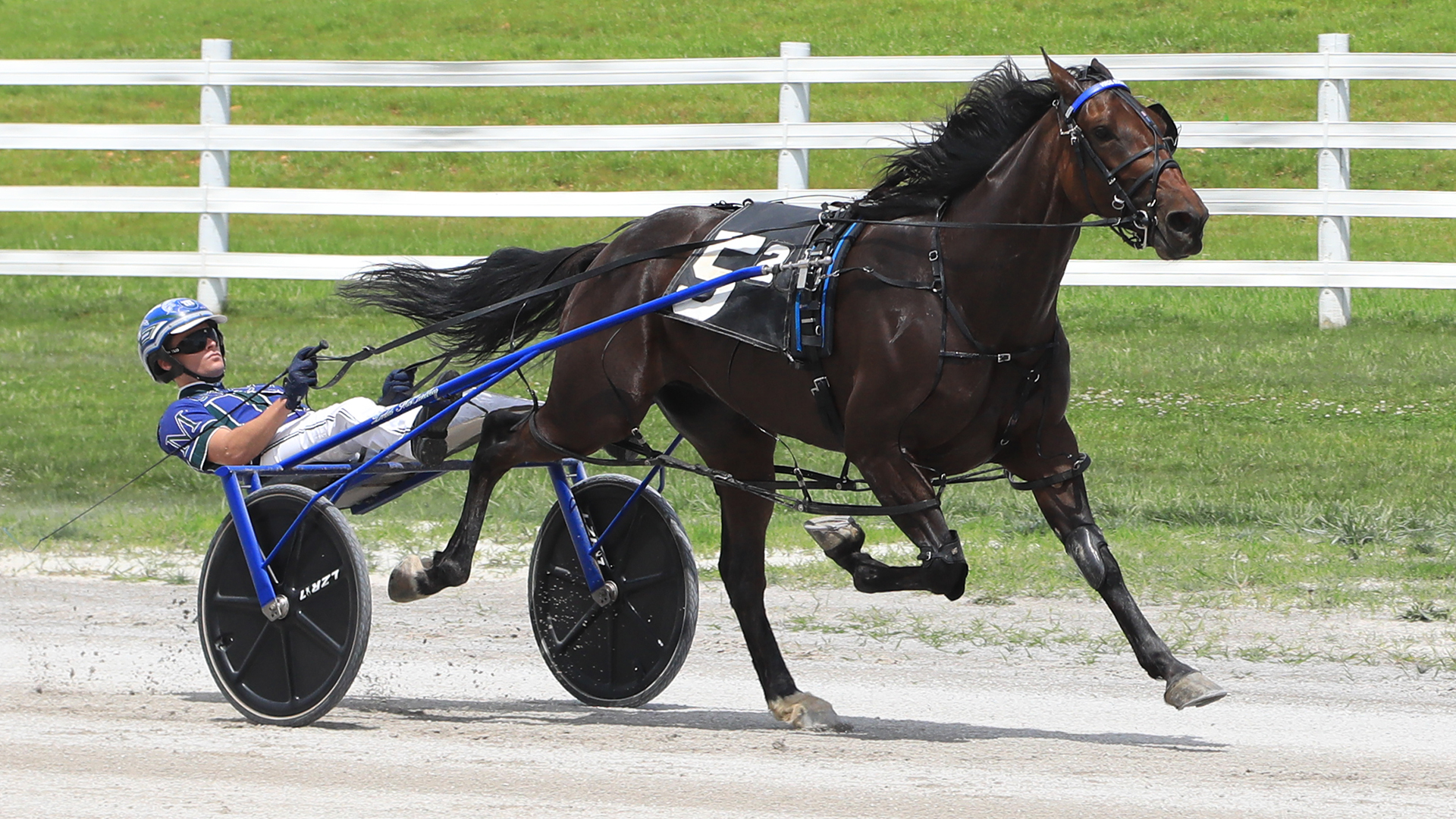 Sweet Lou gelding keeps season unbeaten record in $50,000 KYSS
