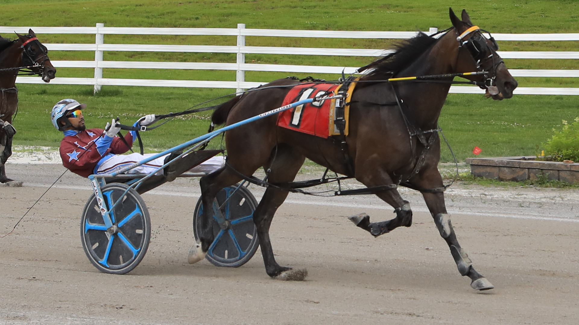 High Flyin’ Filly lands upset in Fillies and Mares Open