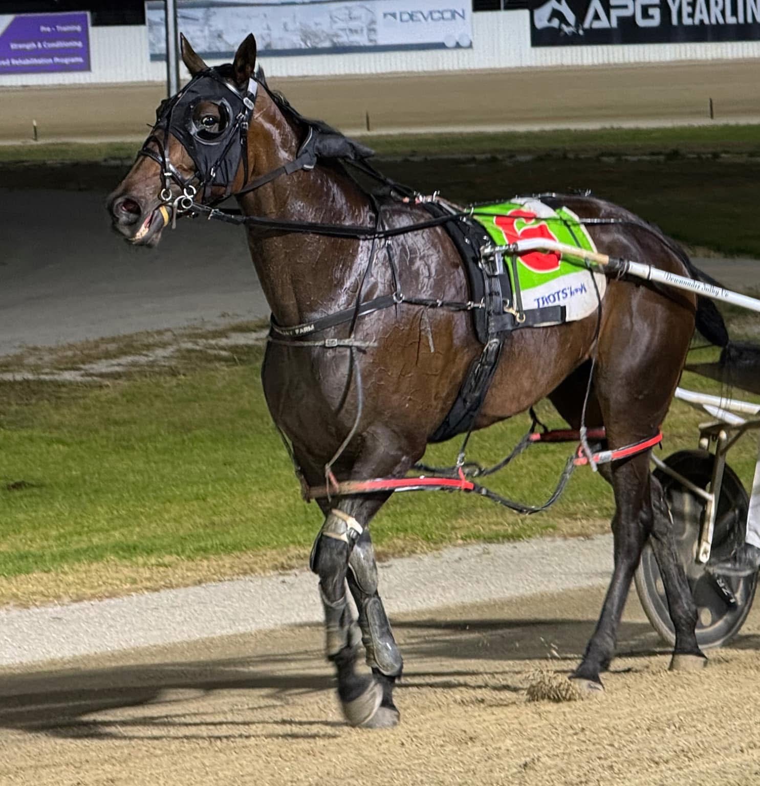 Rakero Rebel’s impressive win in Free For All company