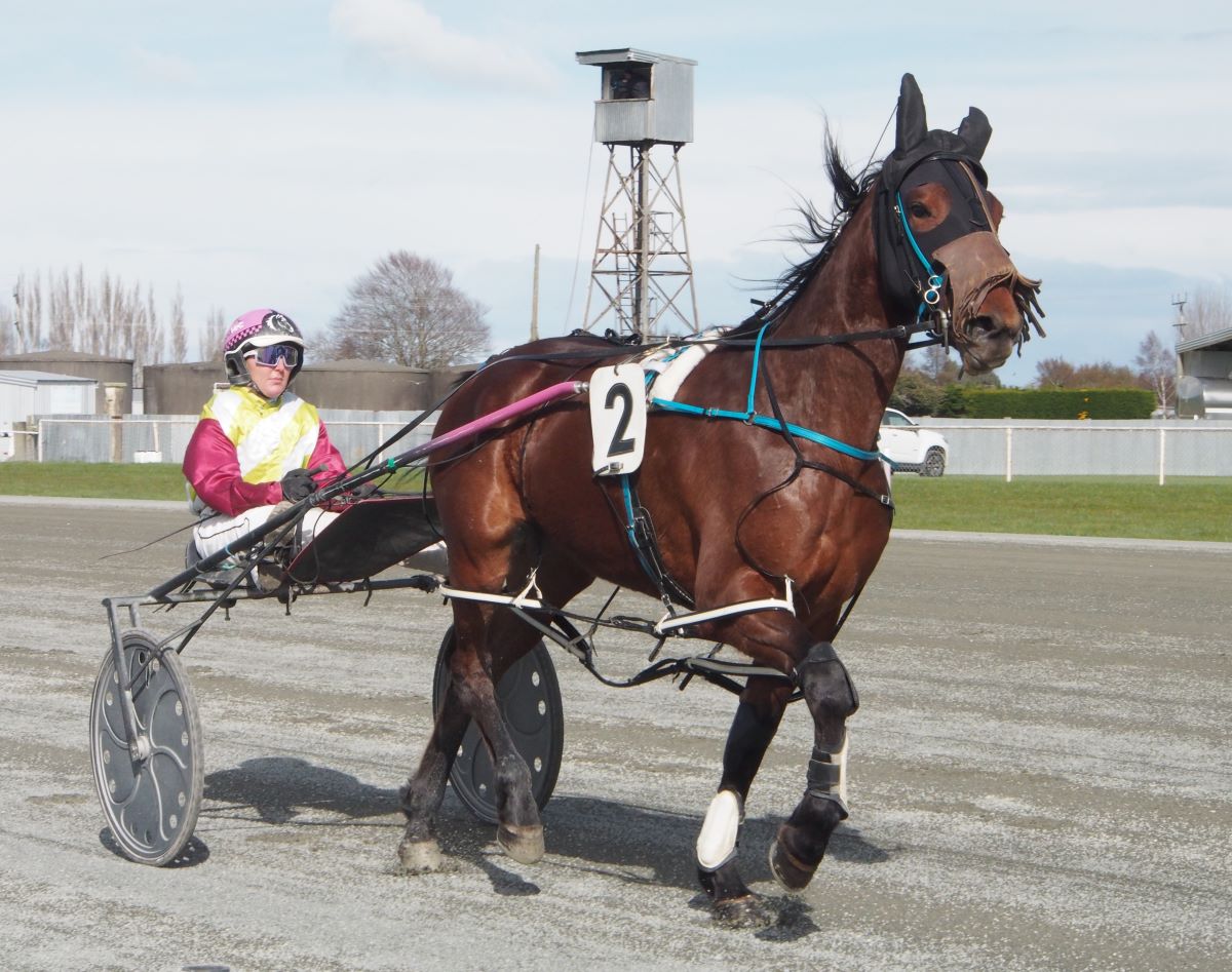 Green takes big team to Ascot Park