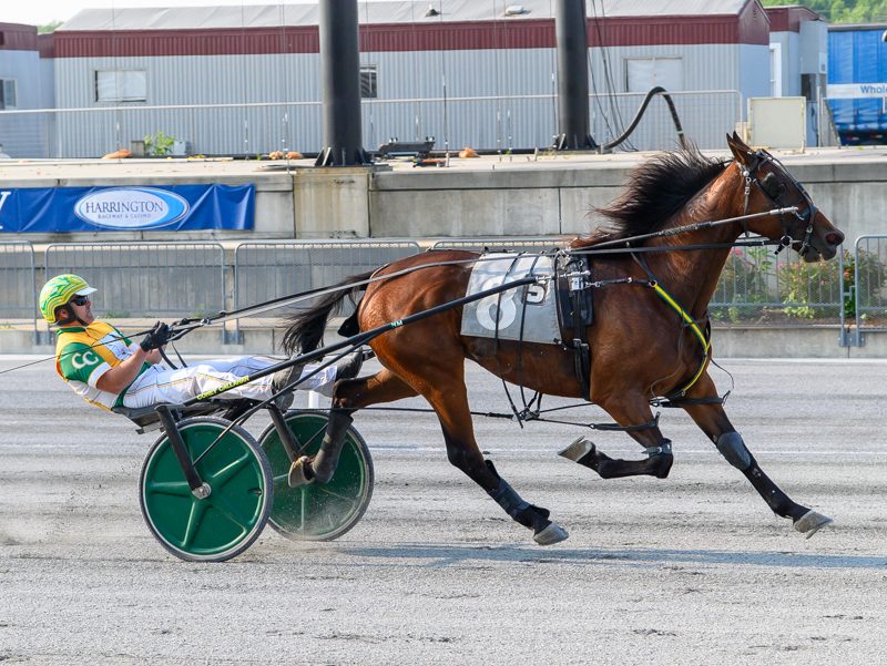 Speed Away too speedy for rivals