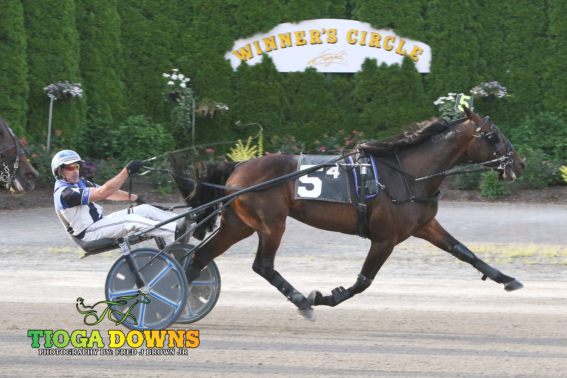 Merton and Sevenshotsobourbon hold off challengers