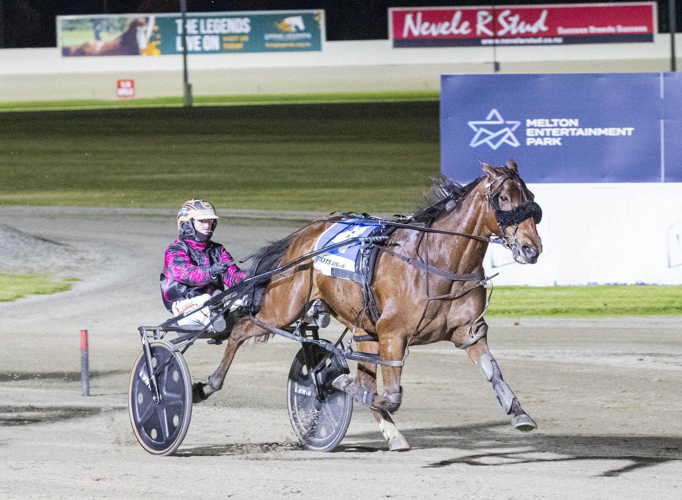 American-bred mares delivering great results for Durham Park