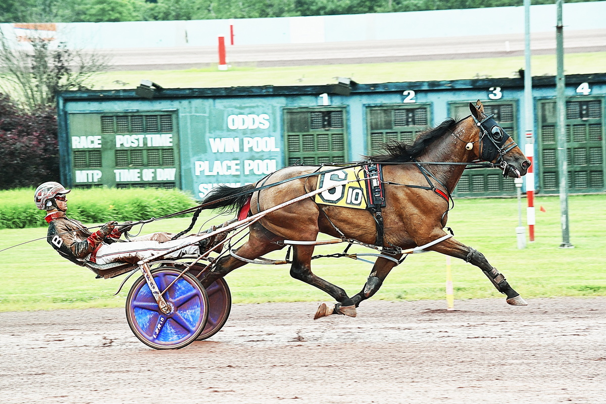 Somebeachsomewhere gelding has spring in his step at Pocono