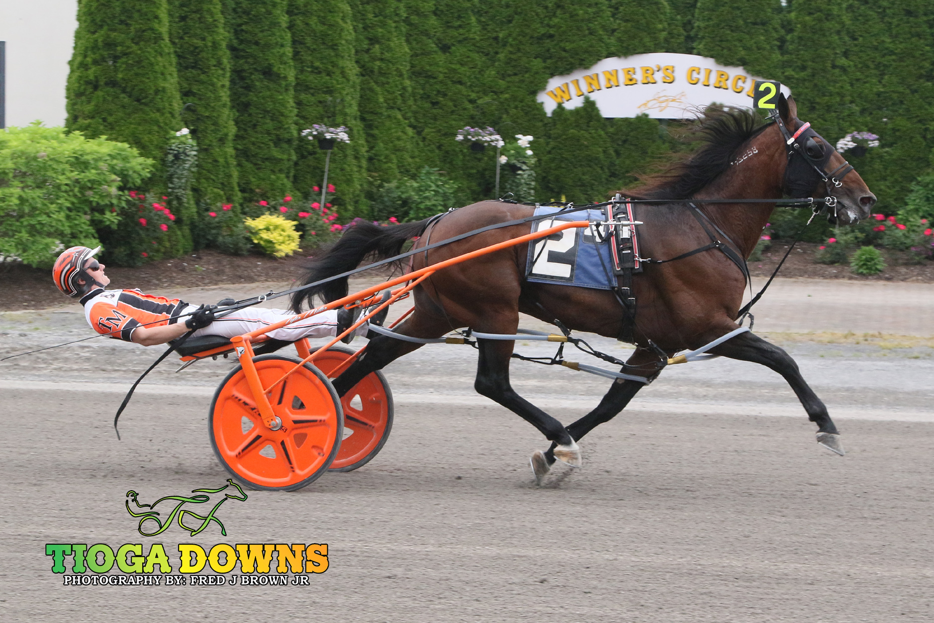 Stonebridge Reef blows past rivals