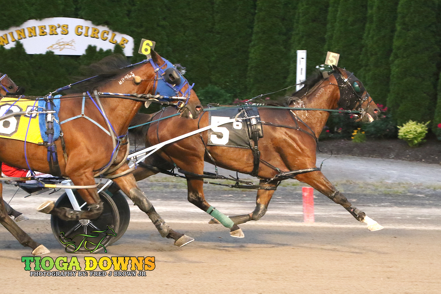 Boyd dominates with six wins