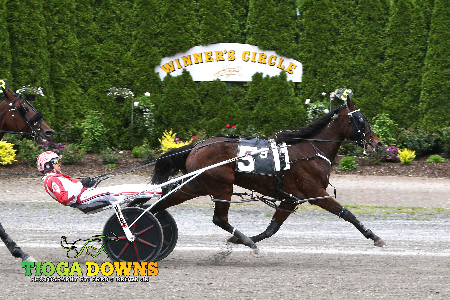 Two $52,500 divisions of the NYSS run and won