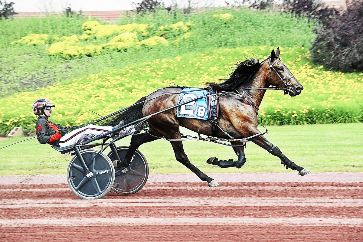 Youngsters sharp in the heat