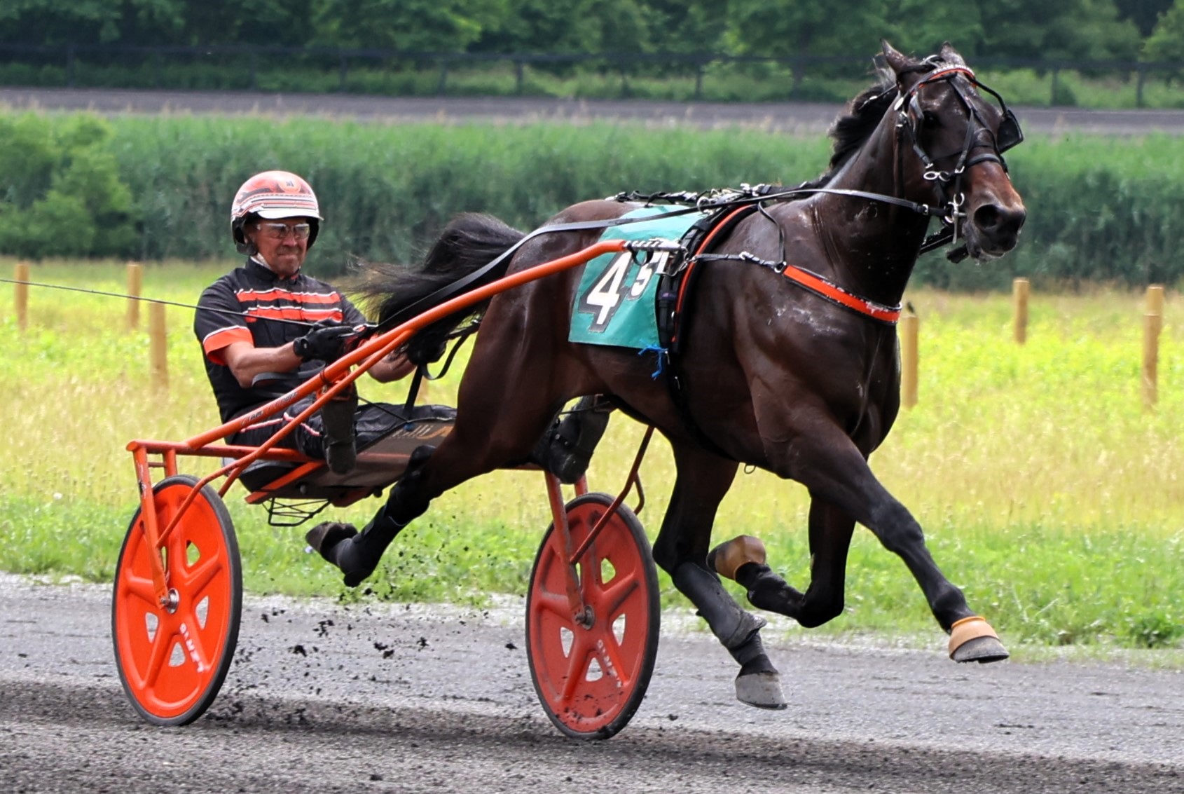 Ugottabkidnme steps out in style at Gaitway 2YO qualifiers