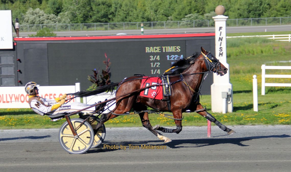 Monti, Greene and Kellogg take top tilts at Plainridge